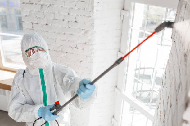 Best Crawl Space Mold Remediation  in Arthurtown, SC