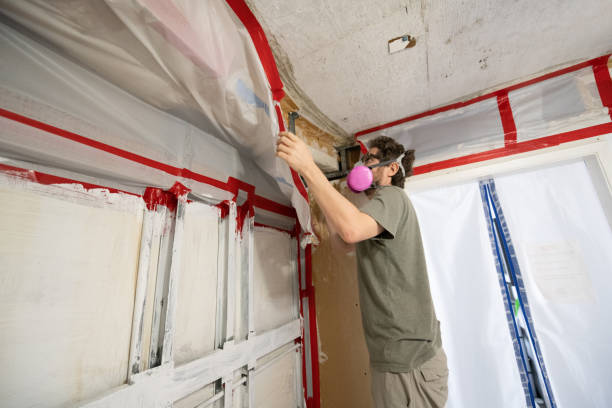 Best Water Damage & Mold Remediation  in Arthurtown, SC