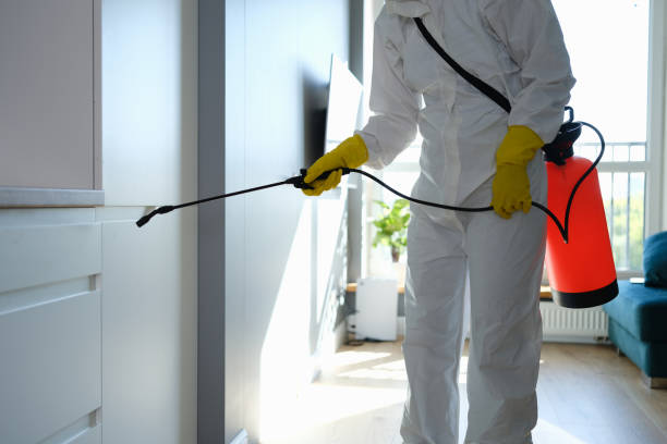Best Mold Damage Restoration  in Arthurtown, SC