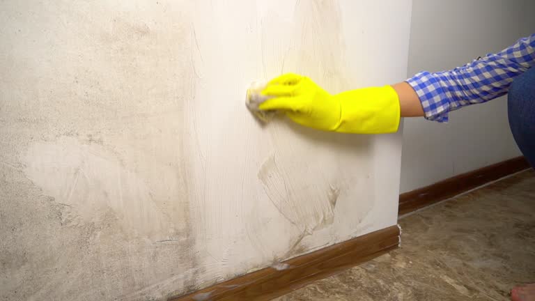 Best Environmental Consulting for Mold Prevention  in Arthurtown, SC
